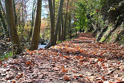 Les Millors Rutes i Passejades a Olot. ©Descobreix Olot